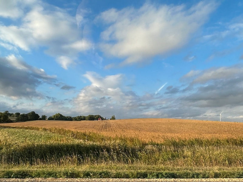 Minnesota & South Dakota