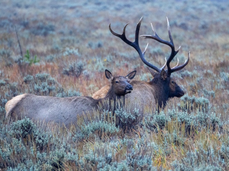 Grand Teton National Park