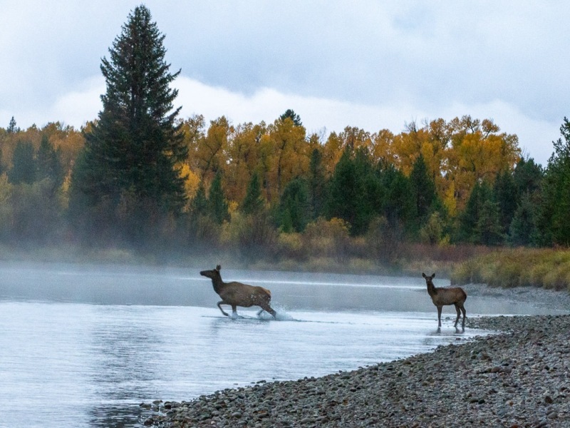 Grand Teton National Park