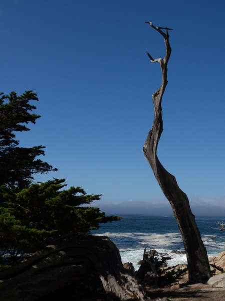 17 Mile Drive, CA