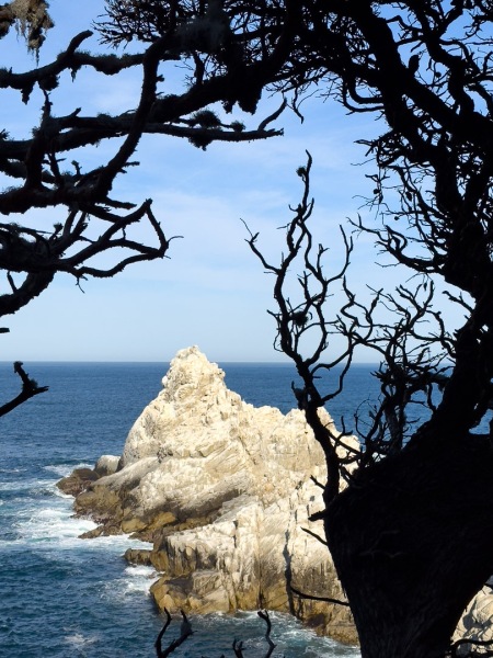 Point Lobos, CA